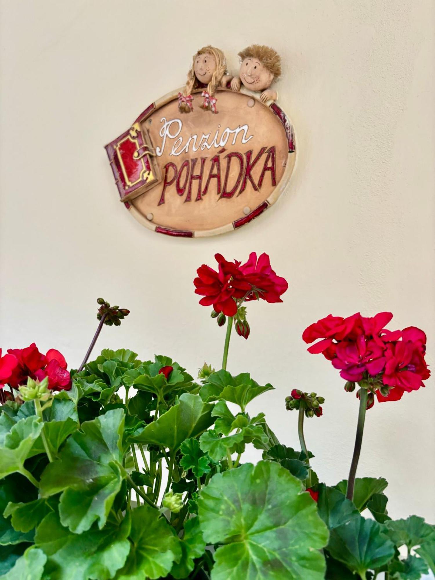 Penzion Pohadka トレボン エクステリア 写真